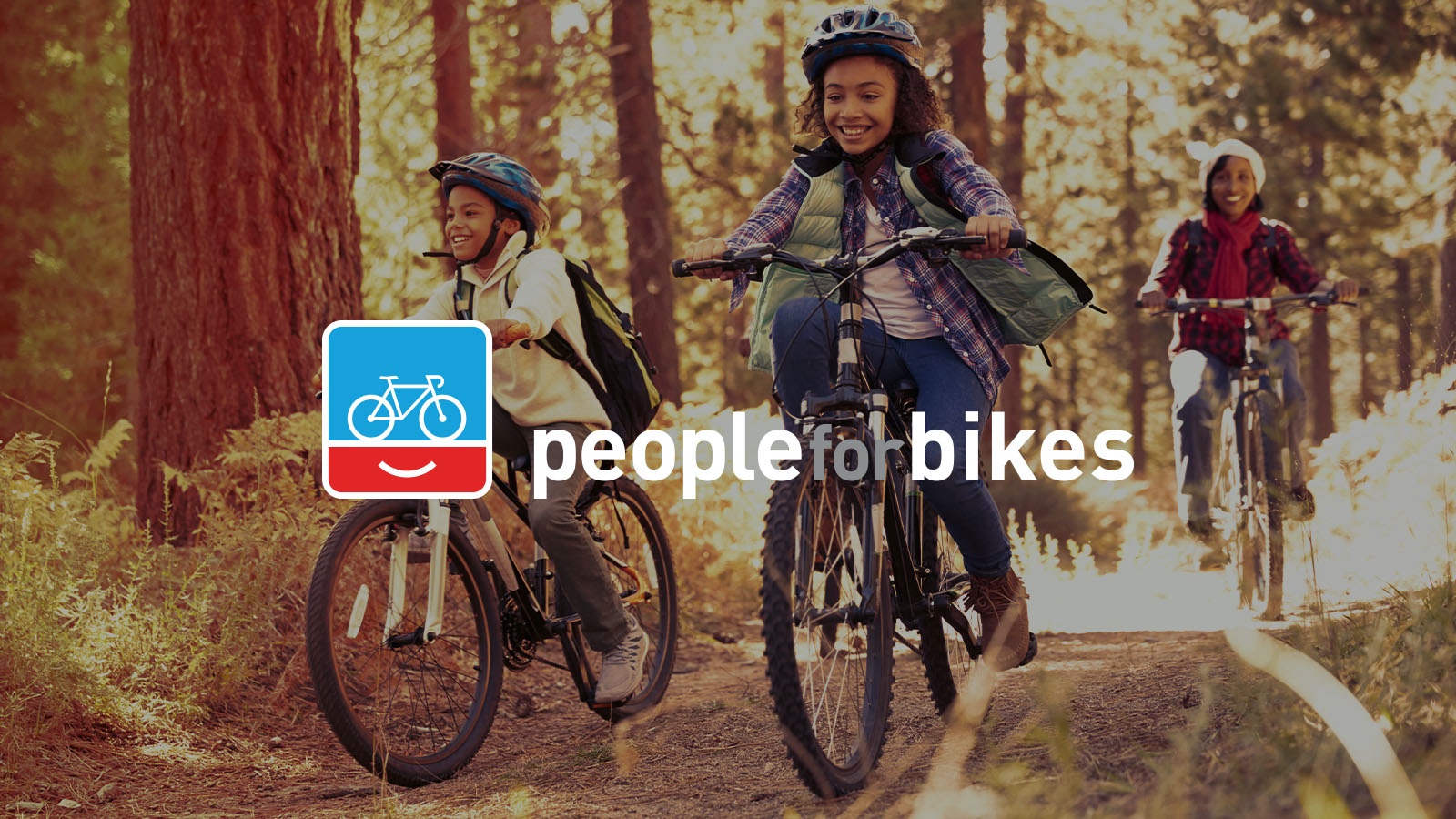 2026-09-18-peopleforbikes-ebike-policy-1200 source image for YOYO bicycle industry report